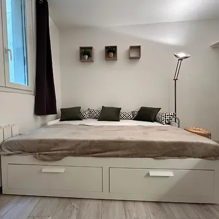 Appartement Au Charme Des Carmes - T1 Sur Cour - Métro A&b *