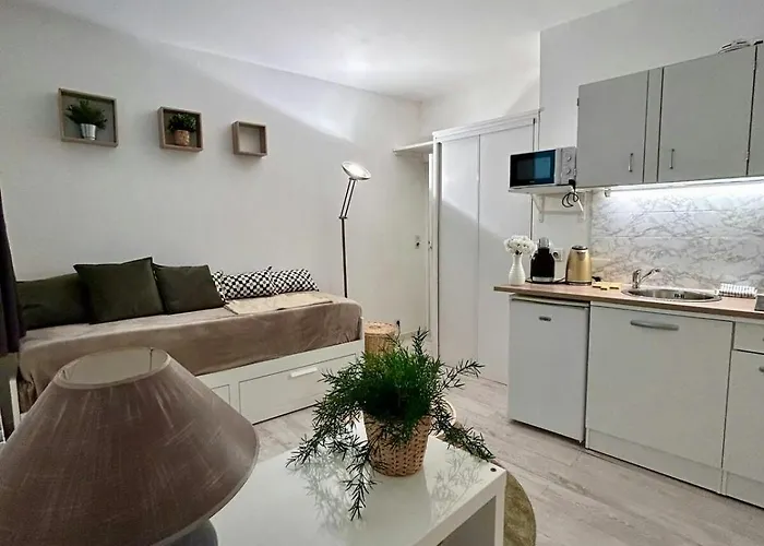 Au Charme Des Carmes - T1 Sur Cour - Metro A & B Апартаменты