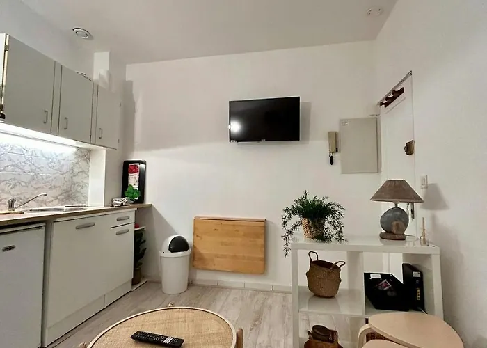 Daire Au Charme Des Carmes - T1 Sur Cour - Metro A & B *