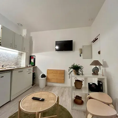 Lägenhet Au Charme Des Carmes - T1 Sur Cour - Metro A & B *